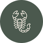Cape Pest Control Scorpions
